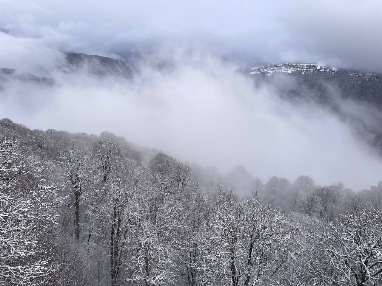 ������������� ����� ��������� � ������ �������� ���� � ���������-�������� �� ����� ����������� �������� � �������. 